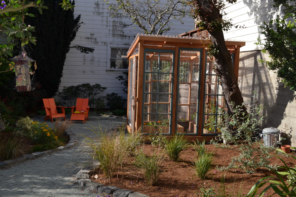 Back Yard Archives - Drought Tolerant Landscape Experts and Gardening